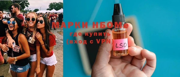 твердый Бородино