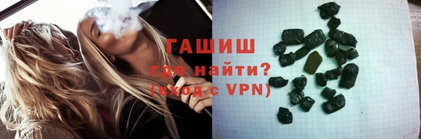 твердый Бородино