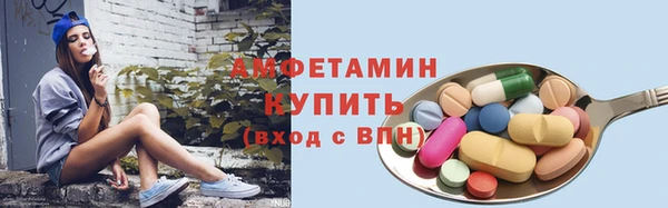 твердый Бородино