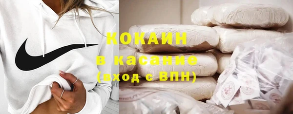 твердый Бородино