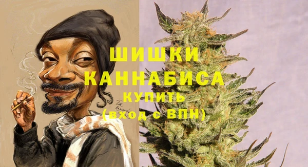 твердый Бородино