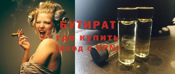 твердый Бородино