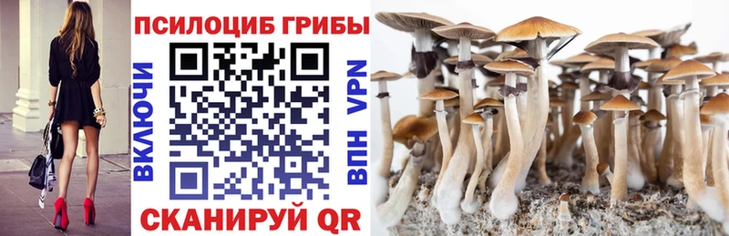 Купить  Всеволожск  Галлюциногенные грибы мухоморы 